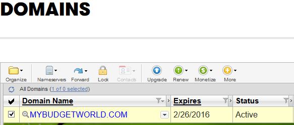 Screen capture of my new domain from godaddy.